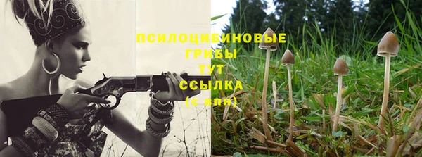 мескалин Арсеньев