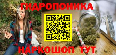 прущие крисы Аргун
