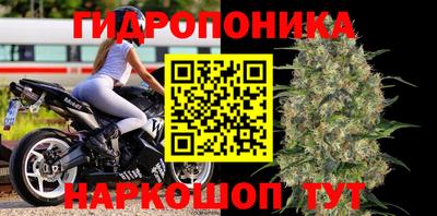 прущие крисы Аргун