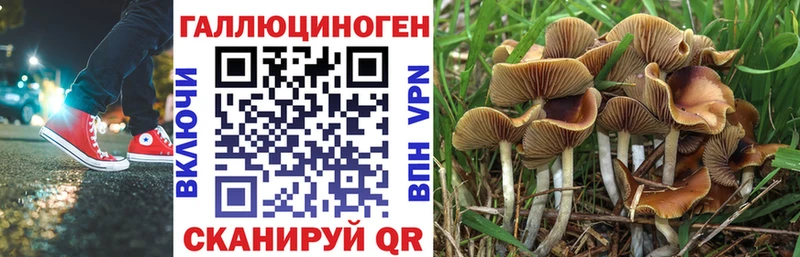 хочу наркоту  Донецк  Псилоцибиновые грибы Psilocybe 