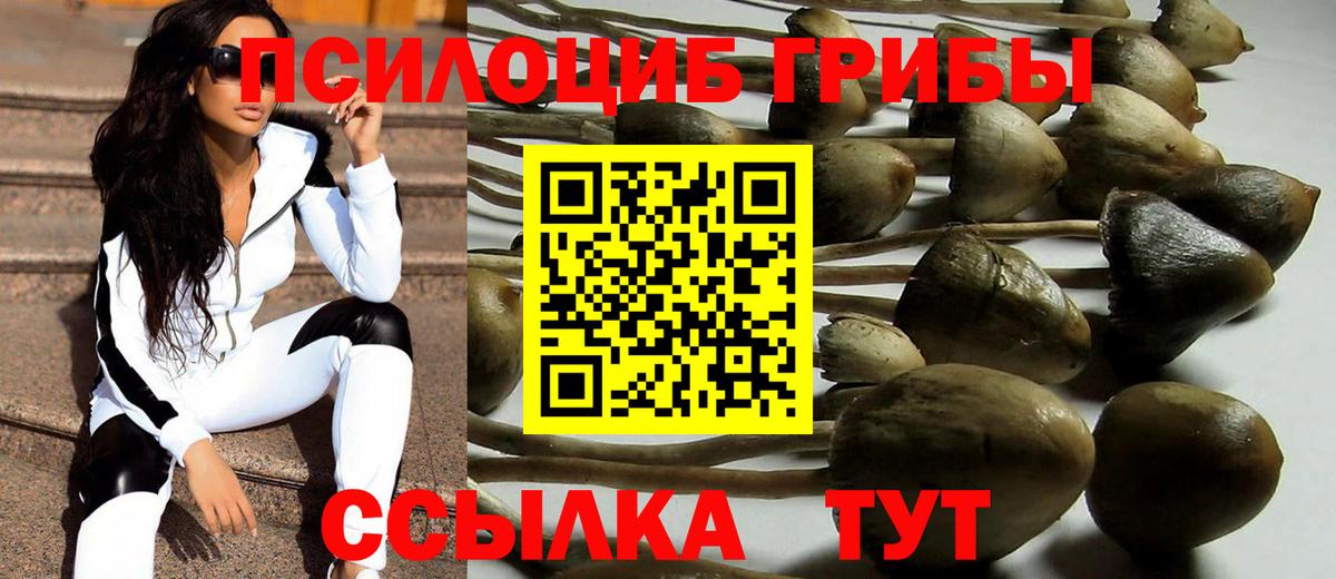 Псилоцибиновые грибы Psilocybine cubensis  Вход с VPN  Донецк 
