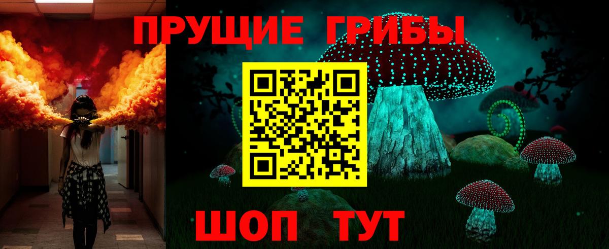 Псилоцибиновые грибы Psilocybine cubensis  Донецк 