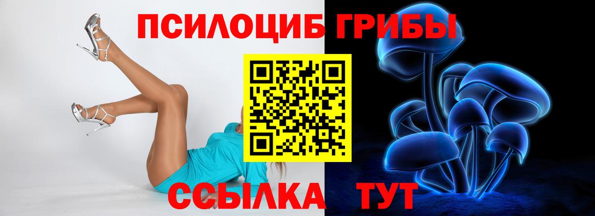 Галлюциногенные грибы мицелий Донецк